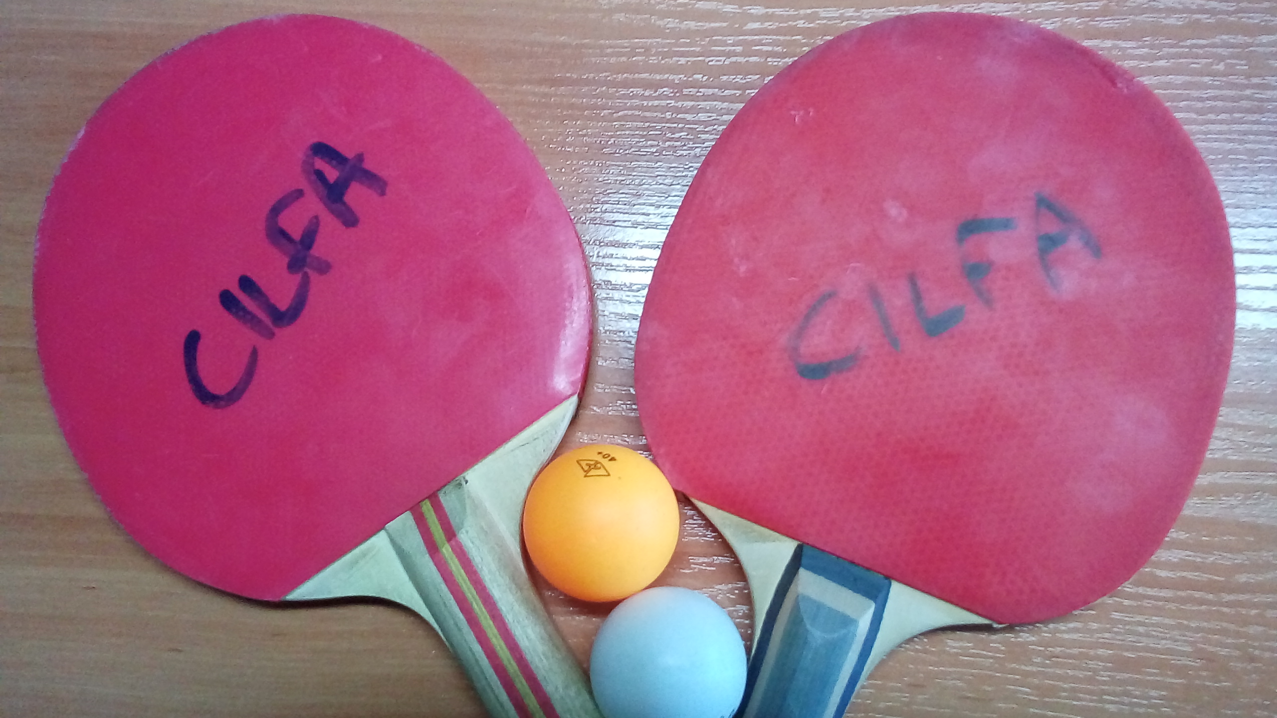 Read more about the article Arish wins the tournament of table tennis organized by the CILFA!