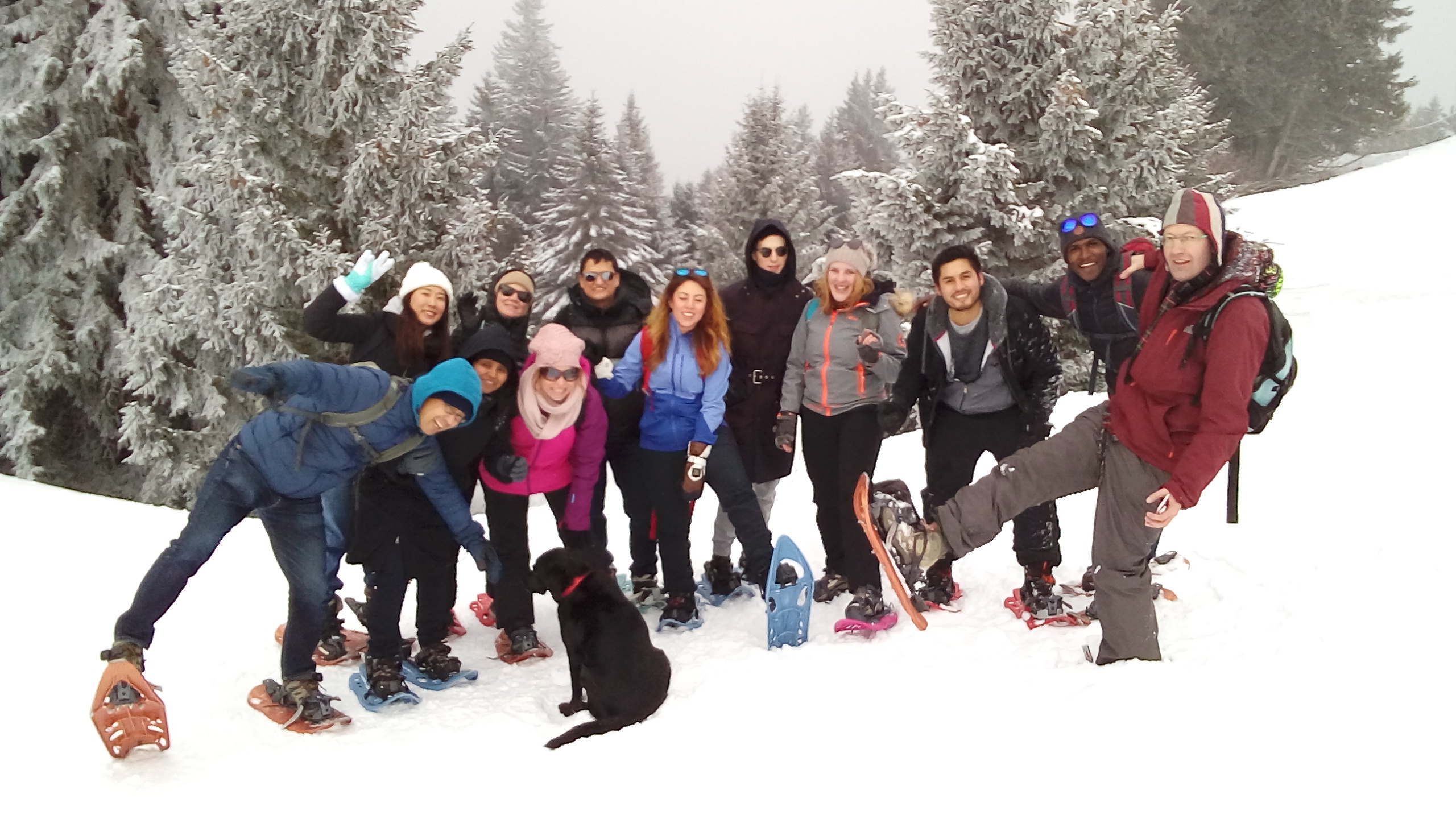 Read more about the article ¡Una excursión con raquetas de nieve estupenda para los alumnos del CILFA!