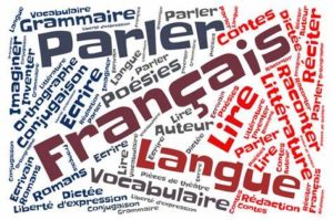 Read more about the article Approfondir son apprentissage du français grâce à Internet !